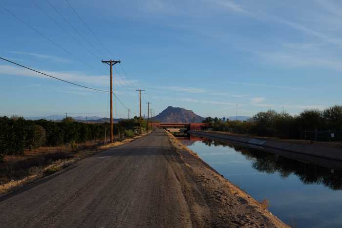 The canal lined with citrus trees looking towards Red Mountain
